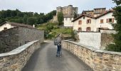 Tour Wandern Chalmazel-Jeansagnière - Au dessus de Chalmazel  - Photo 15