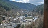 Tour Zu Fuß Hornberg - Hornberg - Bäracker - Photo 6