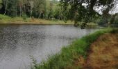 Trail Walking Soursac - Fred les roches noires - Photo 5