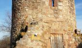 Percorso Marcia Saint-Hippolyte - St Hippolyte - Bergheim - château Reichenberg - Photo 14