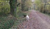 Trail Walking La Chapelle-de-Guinchay - 8 - Photo 2