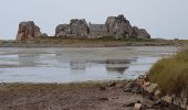 Trail Walking Plougrescant - Le gouffre, la pointe du château à Plougrescant - Photo 8