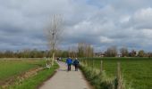 Percorso A piedi Buggenhout - Wandeling Konijnenberg en Arboretum - Photo 10