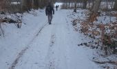 Randonnée Marche Libramont-Chevigny - Marche ADEPS 10km100 à Freux - Photo 12