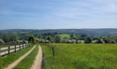 Tocht Stappen La Roche-en-Ardenne - rando samrée 30-05-2023 - Photo 20