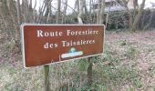 Randonnée Marche Lyons-la-Forêt - 20240309-l'Essart Mador - Photo 6