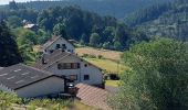 Excursión Senderismo Wangenbourg-Engenthal - Wangenbourg Schneeberg - Photo 1