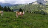 Tocht Stappen Untertauern - Ober - Photo 17