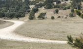 Tour Wandern Cucuron - Mourre nègre - Versand Sud depuis Cucuron - Photo 3