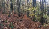 Excursión Senderismo Chaudfontaine - Beaufays mare aux chevreuils  - Photo 1