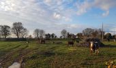 Tocht Stappen La Neuville-Chant-d'Oisel - 20181204-La Neuville - Photo 2