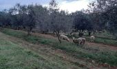 Excursión Senderismo Bormes-les-Mimosas - Trapan ,Pelegrin,Argentiere, la Londe ,Trapan. - Photo 16