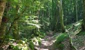 Trail Walking Brassac - Brassac - Sur les hauteurs de l'Agout - Col de la cime du Ser - Photo 3