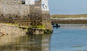 Randonnée Marche Île-Molène - Petit Tour de Molène - Photo 10