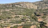 Tour Wandern Unknown - Katapola>>chora - Photo 7