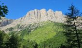 Trail Walking Gresse-en-Vercors - Grand Veymond de Gresse en Vercors - Photo 9