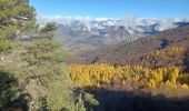 Percorso Marcia Venterol - URTIS . COL DE BUISSONET . SOM DE MONTSERIEUX . VENTEROL . O M S  - Photo 4