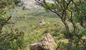 Tocht Stappen La Farlède - sommet du Coudon en partant de La Farlède - Photo 3