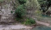 Trail Walking La Palud-sur-Verdon - les malines au point sublime - Photo 8
