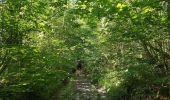 Randonnée Marche Rochefort - HAN-sur-LESSE ... par la Réserve Naturelle Domaniale de Lesse et Lomme. - Photo 2