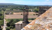Trail Walking Grignan - Grignan et son chÃ¢teau  - Photo 11