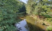 Randonnée Marche Ronno - lac des Sapins - Photo 3