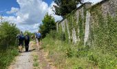 Tour Wandern Mettet - Biesmeree 26 km - Photo 4