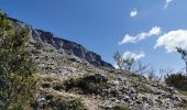 Excursión Senderismo Die - Le Dôme ou Pié Ferré de l'Abbaye Valcroissant - Photo 16