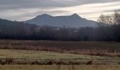 Tour Wandern Mallemoisson - MALLEMOISSON . LES THUMINS . LE CHATEAU . MIRABEAU . CHAPELLE S PHILIPPE . N.    EAU  - Photo 5