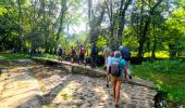 Percorso Marcia Chaumes-en-Brie - Boucle 19 km Chaumes en Brie - Photo 8