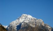 Trail On foot Tarvisio - IT-613 - Photo 9