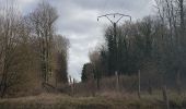 Randonnée Marche Maraye-en-Othe - forêt chenu - Photo 2