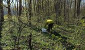 Randonnée Marche Erstein - ail des ours source du Bronnenwasset - Photo 2