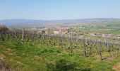 Tour Wandern Dahlenheim - Circuit du Rutscherle variante - Photo 15