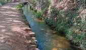 Trail Walking Prades - codalet . coll de Clara . abbaye St Michel de Cuxa . canal bohère - Photo 3