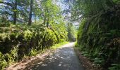 Tour Wandern Hohenfels - Balade à Houffalize - Photo 6