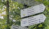 Trail On foot Unknown - Gaggenau - Ebersteinburg - Photo 9