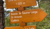 Trail Walking Roquestéron - Roquesteron : la cime de la Cacia - Photo 10