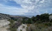 Tocht Stappen Marseille - Luminy vers les goudes - Photo 7