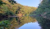 Excursión Marcha nórdica Aywaille - trek2306 remouchamps . ninglinspo . Vert-Buisson . berinzenne . source sauveniere . niveze . sart . royonpré . polleur . chawion . theux . hodbomont . forestia . remouchamps  - Photo 10