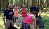 Trail Walking Martelange - Club canin chestrolais juin 2019 - Photo 9