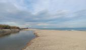 Tour Wandern Argelès-sur-Mer - réserve du mas Larrieu de part et d autre du Tech - Photo 13