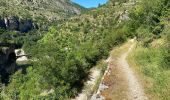 Trail Walking Gorges du Tarn Causses - Saint Chely 17 km - Photo 14