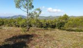 Tocht Mountainbike Saint-Zacharie - Vallon de l'Espagnol St Zacharie - Photo 6