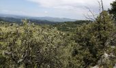 Trail Walking Venasque - venasque cerise - Photo 2