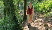 Trail Walking Lannion - 2024 RA J5 Bretagne costamoricaine / Lannion - Locquémau - Photo 5