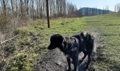 Percorso A piedi Charleroi - Terrils et ruelles à Jumet et Roux. - Photo 1