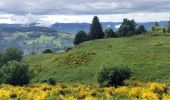 Trail Horseback riding Gerbamont - 2022-06-04 Rando CVA Gerbamont Boucle Foret de Noire Goutte - Photo 6