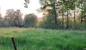 Trail Walking Anderlues - Balade Lobbes-Thuin-Anderlues  - Photo 3