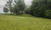 Randonnée Marche Rouvroy - Torgny - Lamorteau - Photo 7